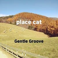 place cat