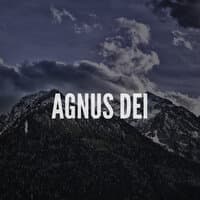 Agnus Dei - Instrumental