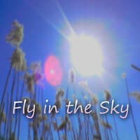 Fly in the Sky