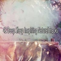 42 Deep Sleep Inspiring Natural Tracks