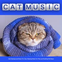 Soothing Relaxing Cat Music