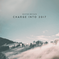 Charge into 2017