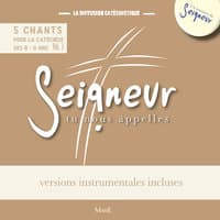 Seigneur tu nous appelles (5 chants pour la catéchèse des 8-11 ans), Vol. 3