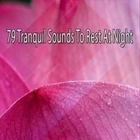 79 Tranquil Sounds To Rest At Night