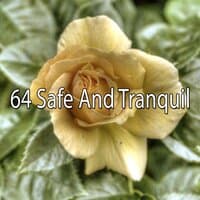 64 Safe and Tranquil