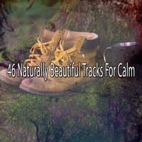 46 Naturally Beautiful Tracks For Calm