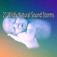 21 Wildly Natural Sound Storms