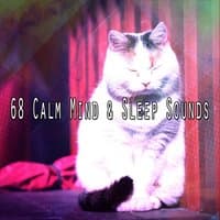 68 Calm Mind & Sleep Sounds