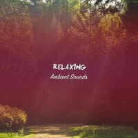 #11 Relaxing, Ambient Sounds for Mindfulness