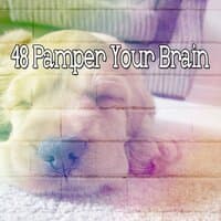 48 Pamper Your Brain