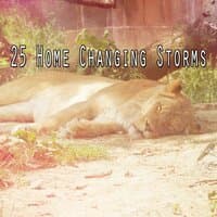 25 Home Changing Storms