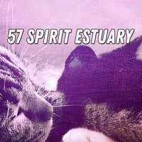 57 Spirit Estuary