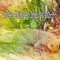 30 Serenity Sounds of Storm