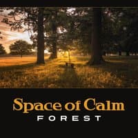 Space of Calm: Forest – Deep Relaxation, Contemplation Eternity, Letting Go of Tension and Stress, Equanimity