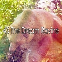 43 The Dream Ravine