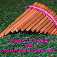 Panpipes Medley 2: Teorema / Ancora / Come Mai / Alice / Margherita / Rimmel / Se Stiamo Insieme / Questo Piccolo Grande Amore / Minuetto / E Penso A te / Quello Che Le Donne Non Dicono / Ricordati Di Me / Musica è / A Chi