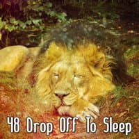 48 Drop Off To Sleep