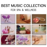 Best Music Collection for Spa & Wellness – Deep Rest, REM Deep Sleep Inducing, Zen Massage Therapy, Regeneration