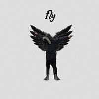 Fly