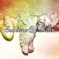 Essence Of Rain