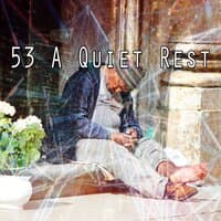 53 A Quiet Rest