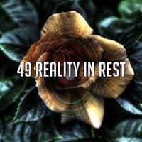 49 Reality in Rest