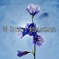 40 Spirits Nourishment