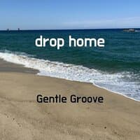 drop home