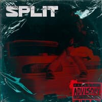 SPLIT