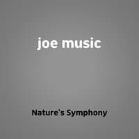 joe music