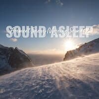 Sound Asleep: Ambient Snowy Morning Sounds 2