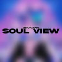 SOUL VIEW