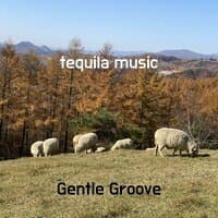 tequila music