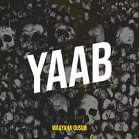 Yaab