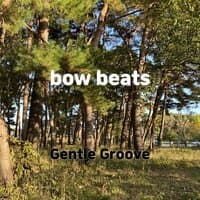 bow beats