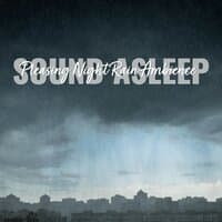 Sound Asleep: Pleasing Night Rain Ambience