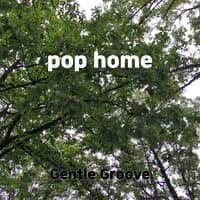 pop home