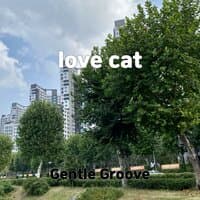 love cat