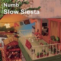 Slow Siesta