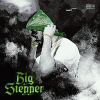 Big Stepper