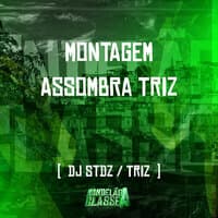 Montagem Assombra Triz