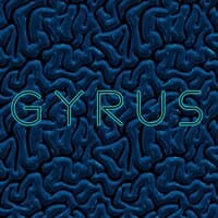 Gyrus