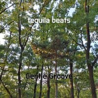 tequila beats