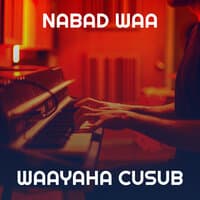 Nabad Waa