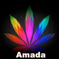 Amada