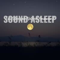 Sound Asleep: Full Moon Lake Natural Ambience 2