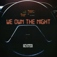 We Own The Night