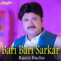 Bari Bari Sarkar