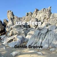 use sleep