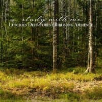 Study with Me: Luscious Deep Forest Birdsong Ambience